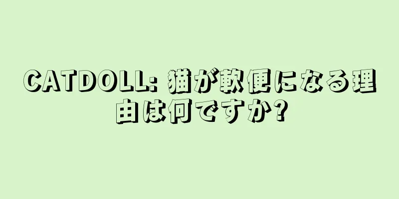 CATDOLL: 猫が軟便になる理由は何ですか?