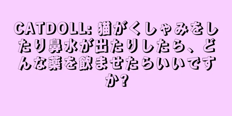 CATDOLL: 猫がくしゃみをしたり鼻水が出たりしたら、どんな薬を飲ませたらいいですか?