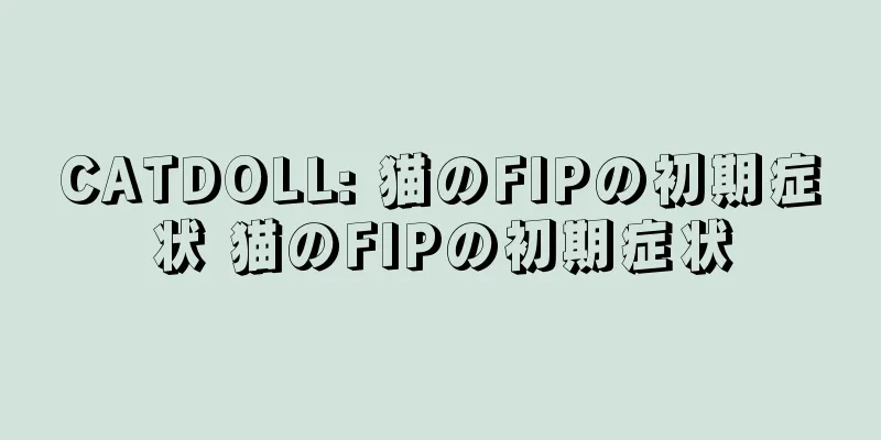 CATDOLL: 猫のFIPの初期症状 猫のFIPの初期症状