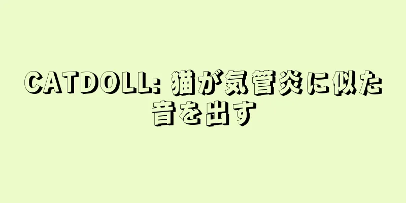 CATDOLL: 猫が気管炎に似た音を出す