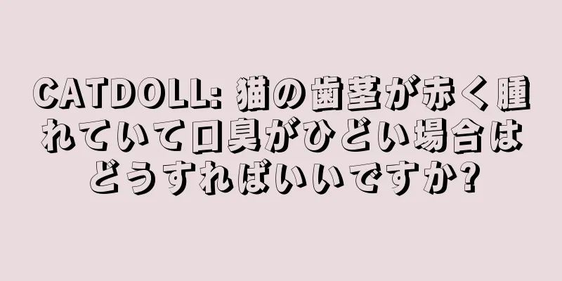 CATDOLL: 猫の歯茎が赤く腫れていて口臭がひどい場合はどうすればいいですか?