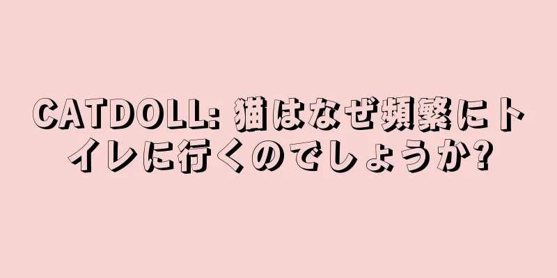 CATDOLL: 猫はなぜ頻繁にトイレに行くのでしょうか?
