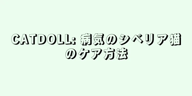 CATDOLL: 病気のシベリア猫のケア方法