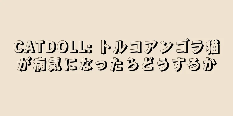 CATDOLL: トルコアンゴラ猫が病気になったらどうするか