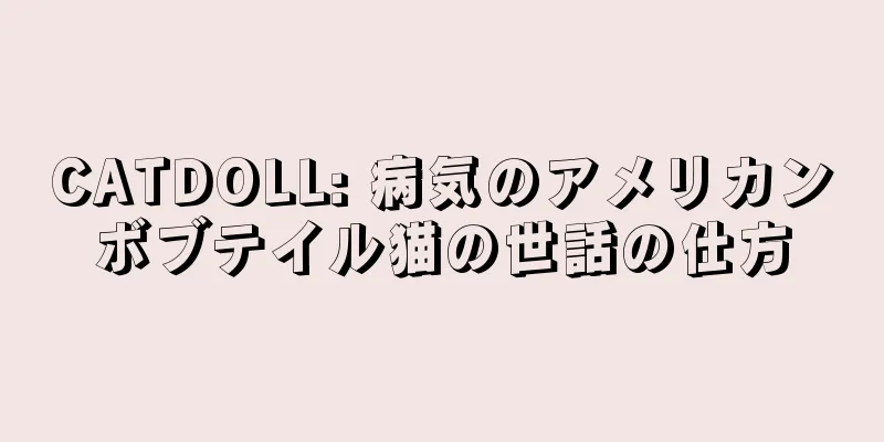 CATDOLL: 病気のアメリカンボブテイル猫の世話の仕方
