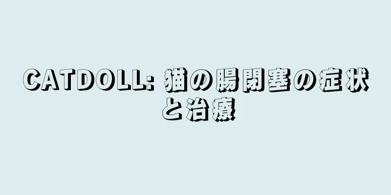 CATDOLL: 猫の腸閉塞の症状と治療