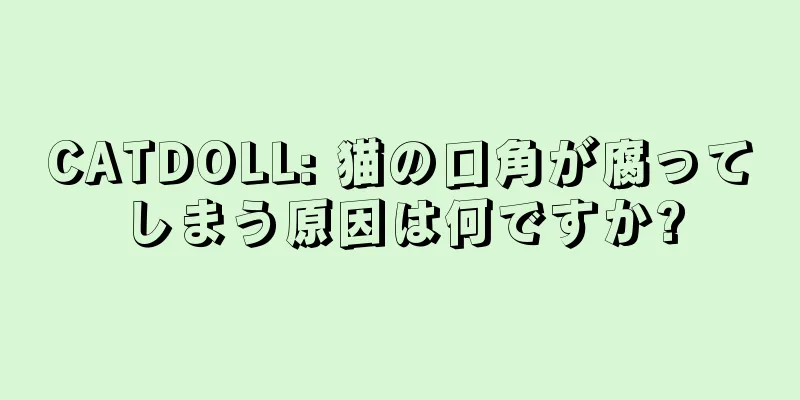 CATDOLL: 猫の口角が腐ってしまう原因は何ですか?