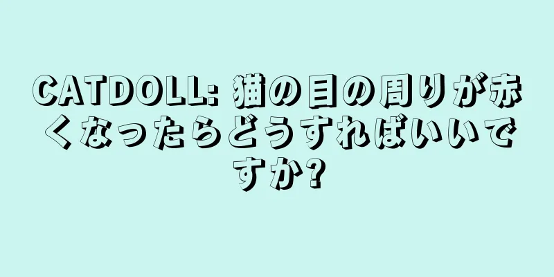 CATDOLL: 猫の目の周りが赤くなったらどうすればいいですか?