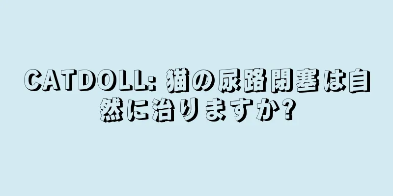 CATDOLL: 猫の尿路閉塞は自然に治りますか?