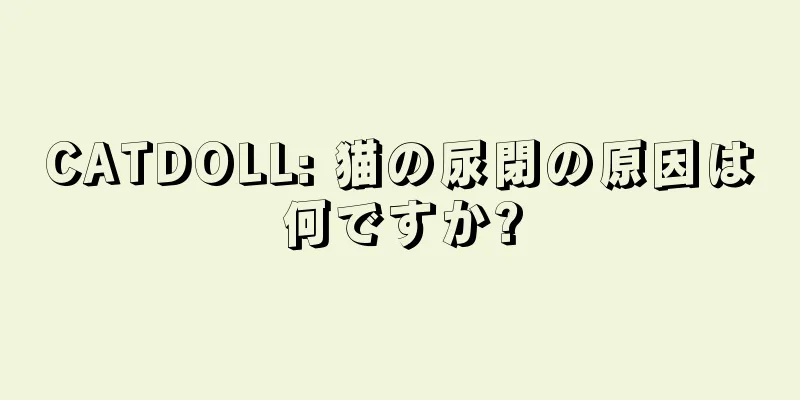 CATDOLL: 猫の尿閉の原因は何ですか?