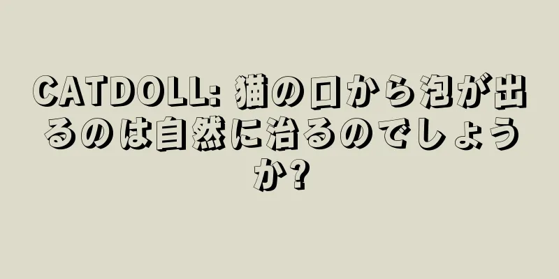 CATDOLL: 猫の口から泡が出るのは自然に治るのでしょうか?