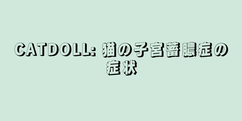 CATDOLL: 猫の子宮蓄膿症の症状
