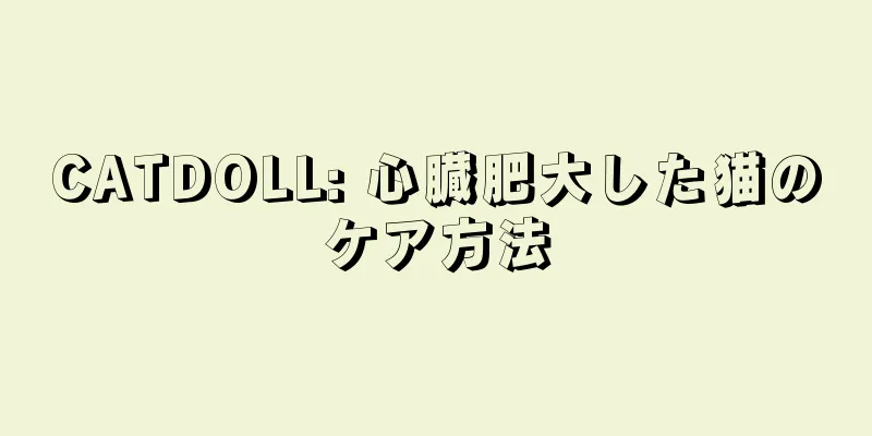 CATDOLL: 心臓肥大した猫のケア方法