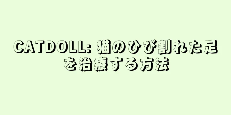 CATDOLL: 猫のひび割れた足を治療する方法