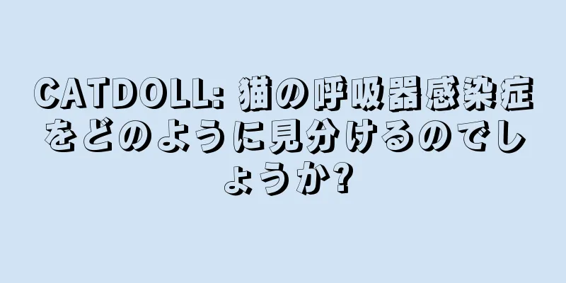 CATDOLL: 猫の呼吸器感染症をどのように見分けるのでしょうか?