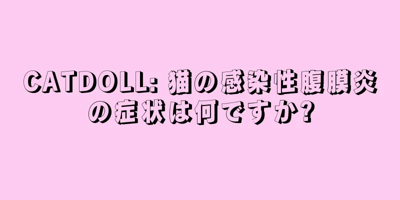 CATDOLL: 猫の感染性腹膜炎の症状は何ですか?