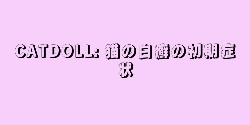 CATDOLL: 猫の白癬の初期症状