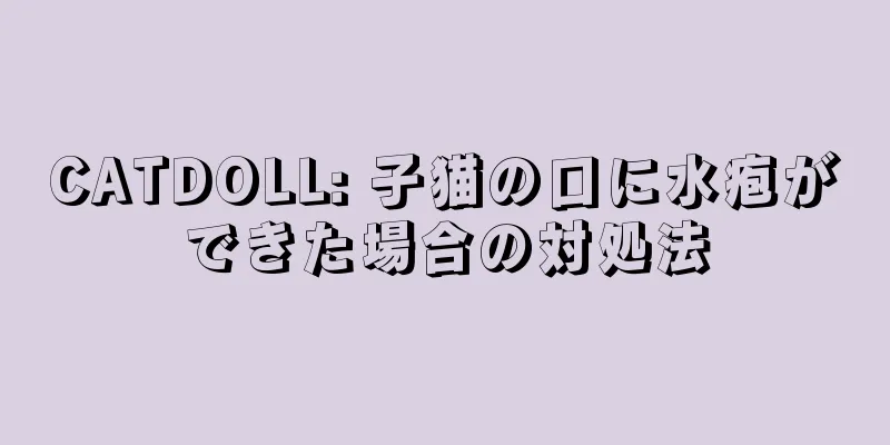 CATDOLL: 子猫の口に水疱ができた場合の対処法