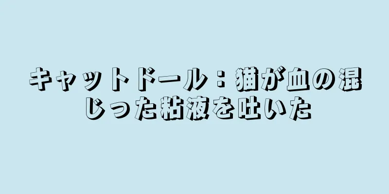 キャットドール：猫が血の混じった粘液を吐いた