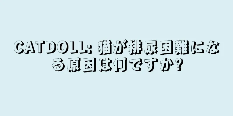 CATDOLL: 猫が排尿困難になる原因は何ですか?
