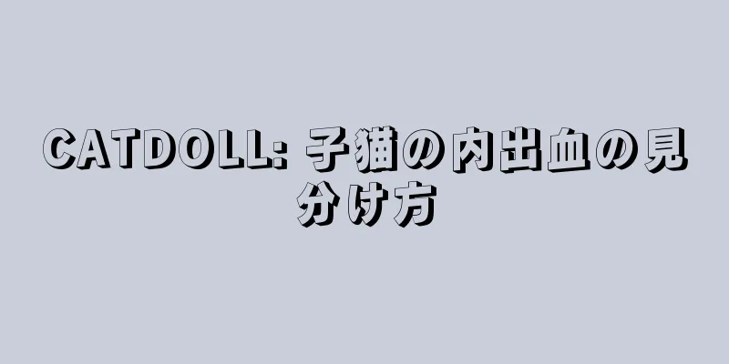 CATDOLL: 子猫の内出血の見分け方