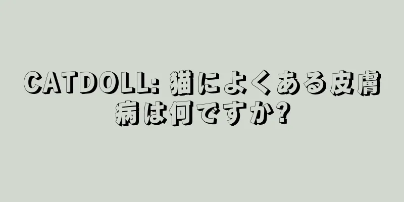 CATDOLL: 猫によくある皮膚病は何ですか?