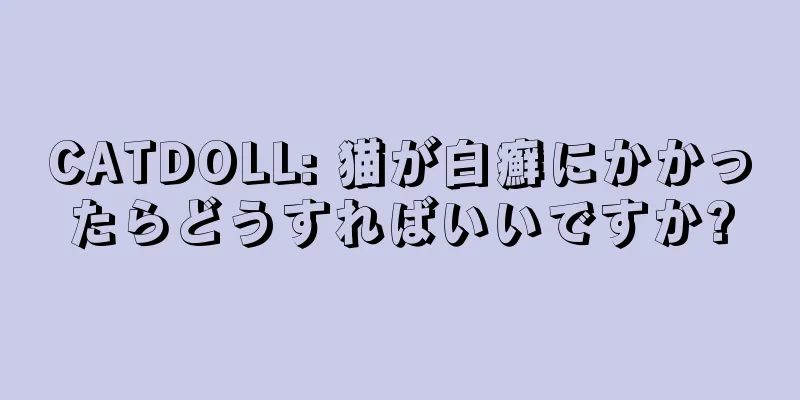 CATDOLL: 猫が白癬にかかったらどうすればいいですか?