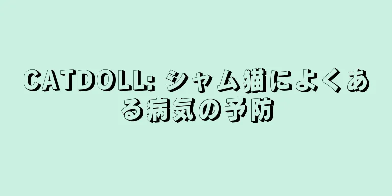 CATDOLL: シャム猫によくある病気の予防