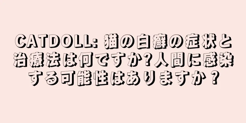 CATDOLL: 猫の白癬の症状と治療法は何ですか?人間に感染する可能性はありますか？