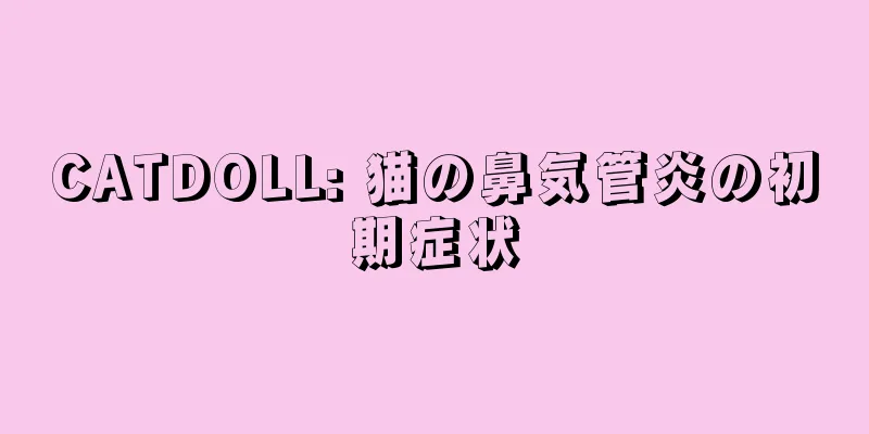 CATDOLL: 猫の鼻気管炎の初期症状