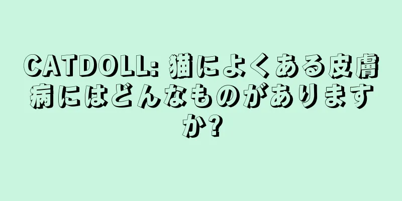 CATDOLL: 猫によくある皮膚病にはどんなものがありますか?
