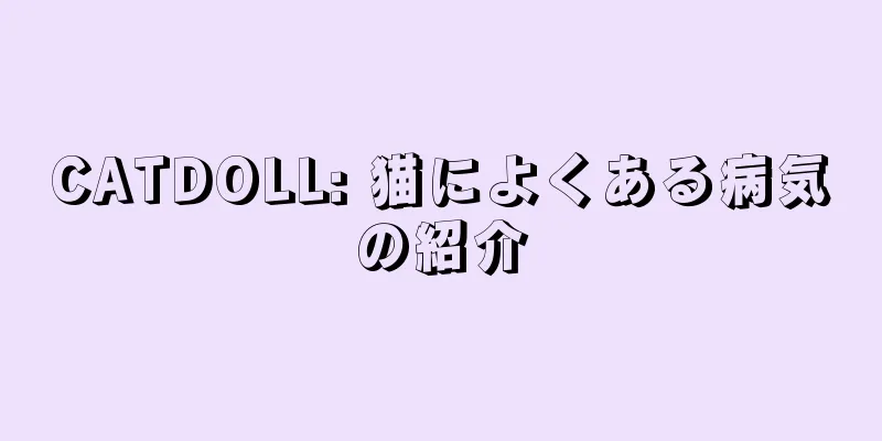 CATDOLL: 猫によくある病気の紹介