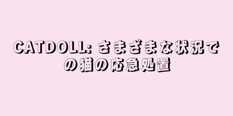 CATDOLL: さまざまな状況での猫の応急処置