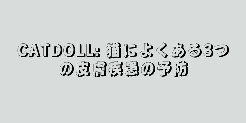 CATDOLL: 猫によくある3つの皮膚疾患の予防