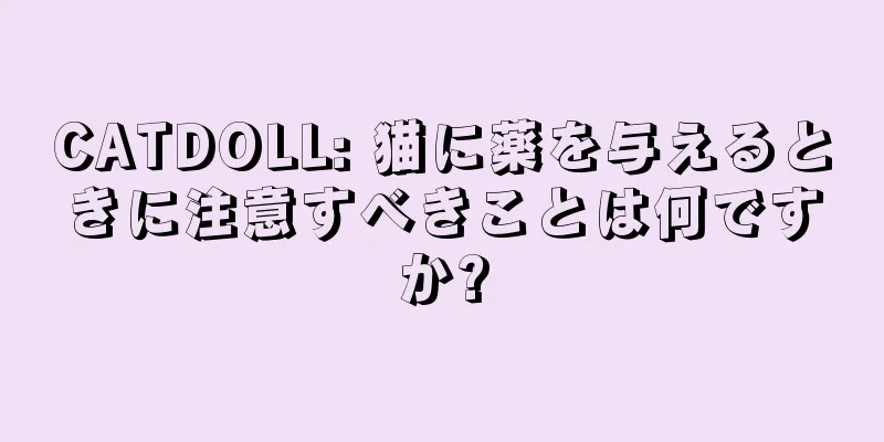CATDOLL: 猫に薬を与えるときに注意すべきことは何ですか?