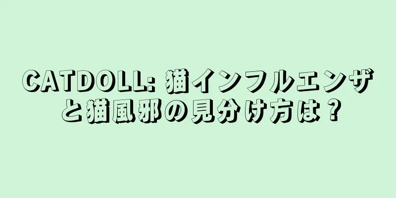 CATDOLL: 猫インフルエンザと猫風邪の見分け方は？