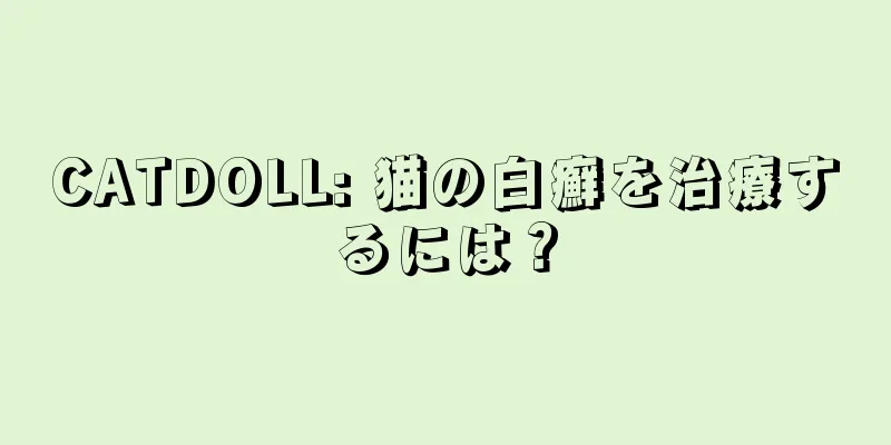 CATDOLL: 猫の白癬を治療するには？