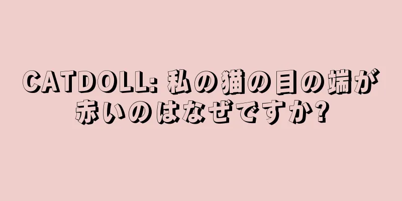 CATDOLL: 私の猫の目の端が赤いのはなぜですか?