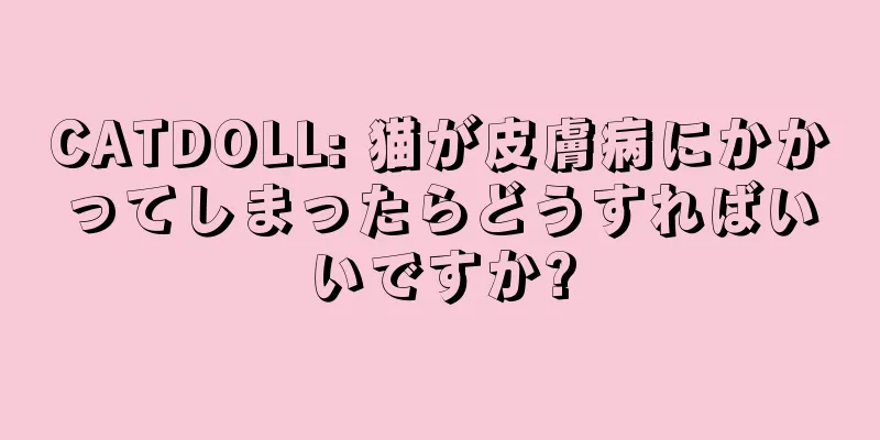 CATDOLL: 猫が皮膚病にかかってしまったらどうすればいいですか?