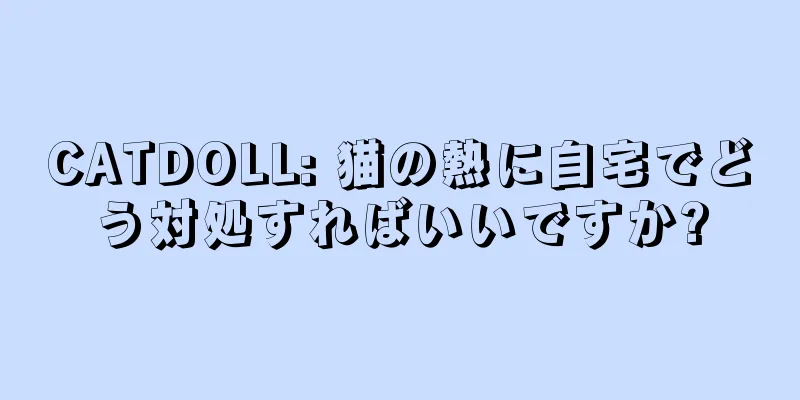 CATDOLL: 猫の熱に自宅でどう対処すればいいですか?