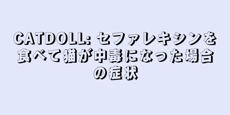 CATDOLL: セファレキシンを食べて猫が中毒になった場合の症状