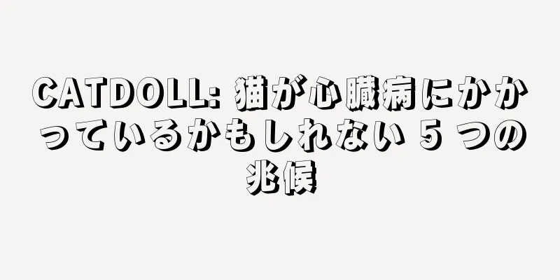 CATDOLL: 猫が心臓病にかかっているかもしれない 5 つの兆候