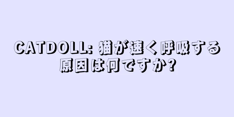 CATDOLL: 猫が速く呼吸する原因は何ですか?