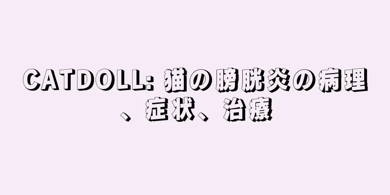 CATDOLL: 猫の膀胱炎の病理、症状、治療