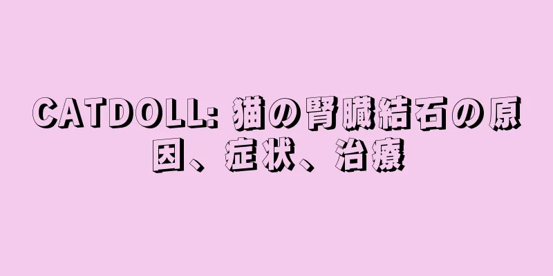 CATDOLL: 猫の腎臓結石の原因、症状、治療