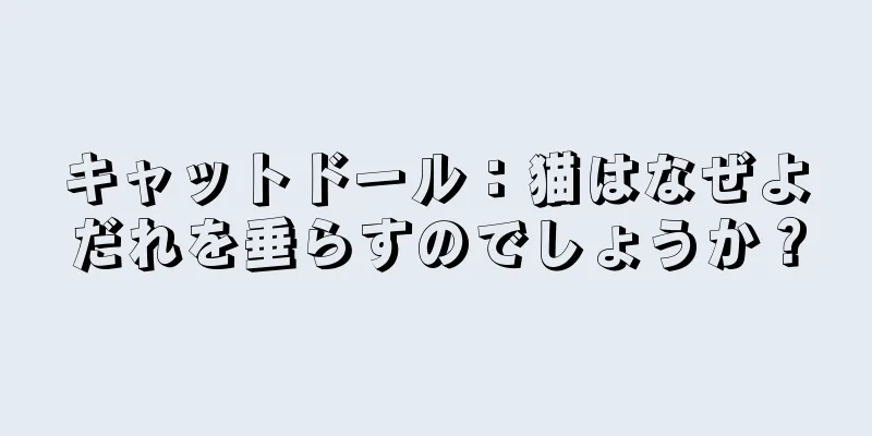 キャットドール：猫はなぜよだれを垂らすのでしょうか？