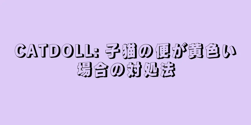 CATDOLL: 子猫の便が黄色い場合の対処法