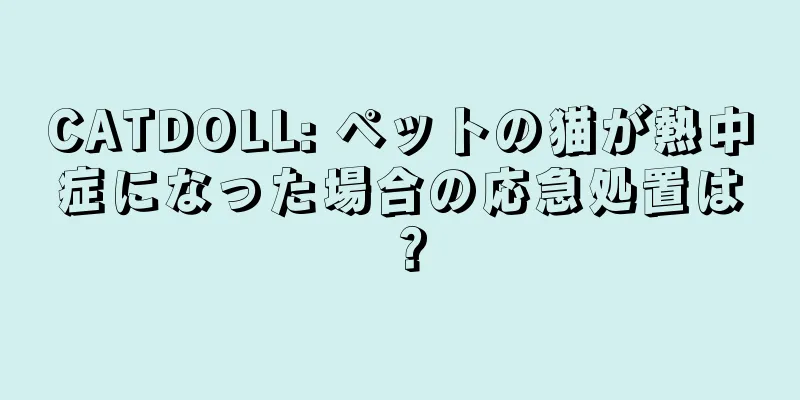 CATDOLL: ペットの猫が熱中症になった場合の応急処置は？