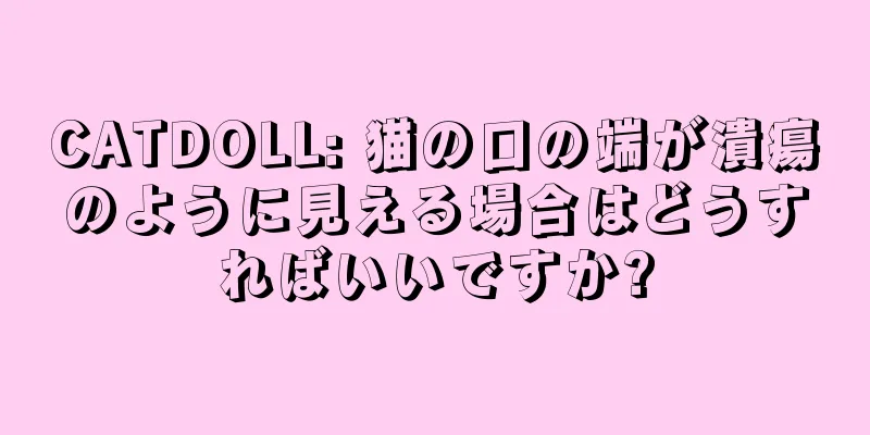 CATDOLL: 猫の口の端が潰瘍のように見える場合はどうすればいいですか?