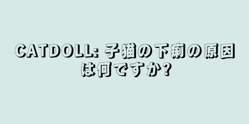 CATDOLL: 子猫の下痢の原因は何ですか?